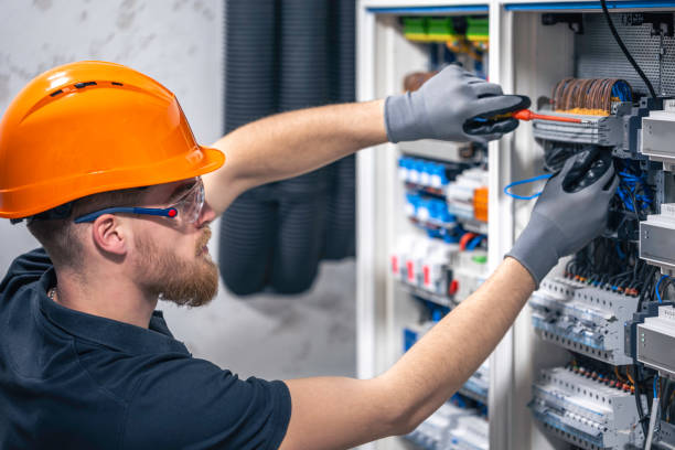 Best Electric Panel Repair  in Laguna Heights, TX